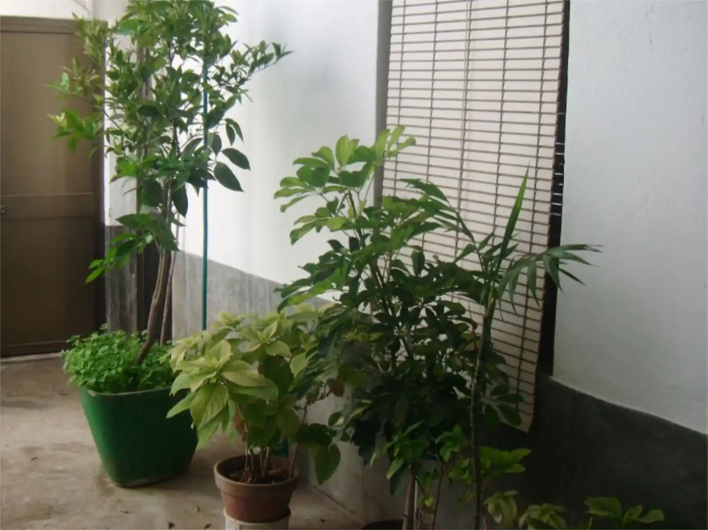 Garden of Detached homes for sale in Jabugo  with Terrace and Furnished