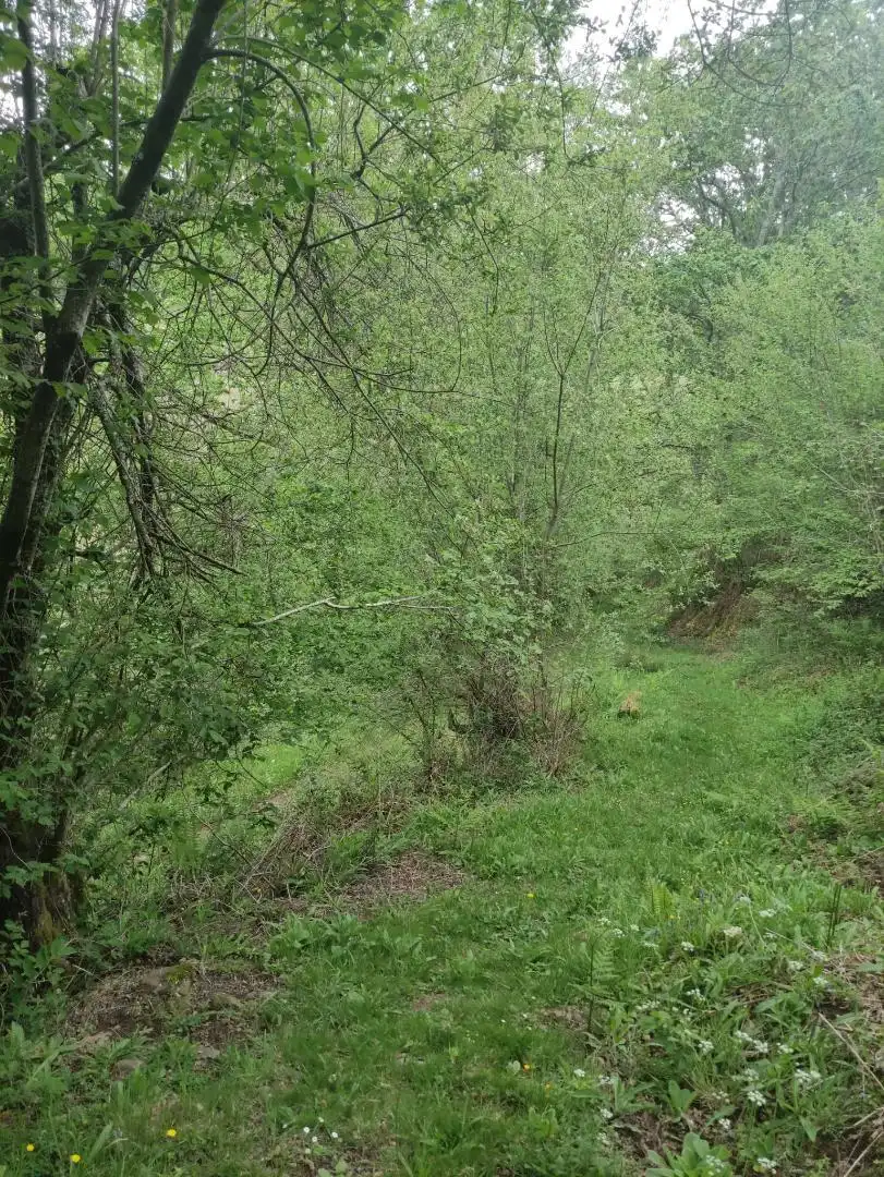 Casa o xalet en venda en San Pedro del Romeral