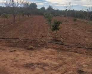 Finca rústica de lloguer en Alcanar