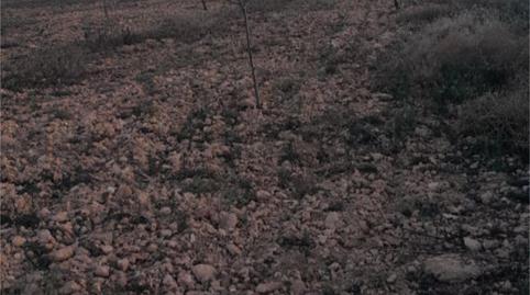 Urbanitzable en venda a Calle Santa Ana, 3, Abanilla, Murcia - imatge 4 Foto 4 de Urbanitzable en venda a Calle Santa Ana, 3, Abanilla, Murcia