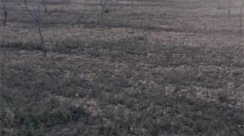 Urbanitzable en venda a Calle Santa Ana, 3, Abanilla, Murcia - imatge 5 Foto 5 de Urbanitzable en venda a Calle Santa Ana, 3, Abanilla, Murcia