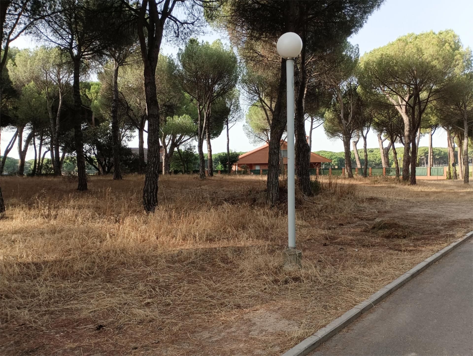 Finca rústica en venta en Tordesillas