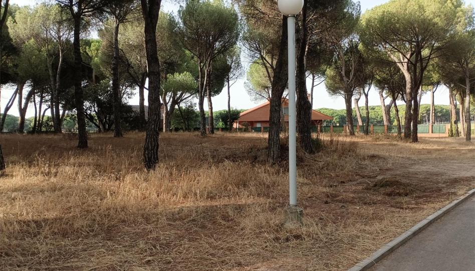 Finca rústica en venta en Urbanización el Montico, 235, Tordesillas, Valladolid - imagen 1 Foto 1 de Finca rústica en venta en Urbanización el Montico, 235, Tordesillas, Valladolid