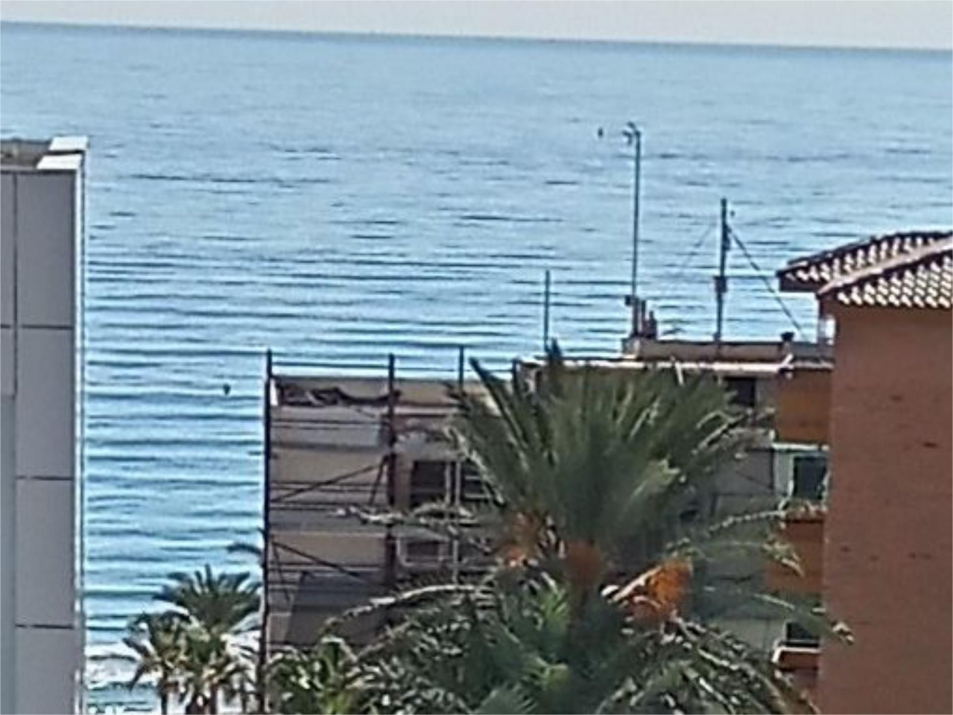 Flat to rent in Carrer de Sorolla, 1, Playa Muchavista