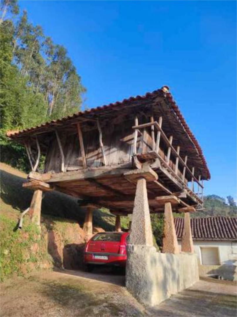 Exterior view of House or chalet for sale in Villaviciosa