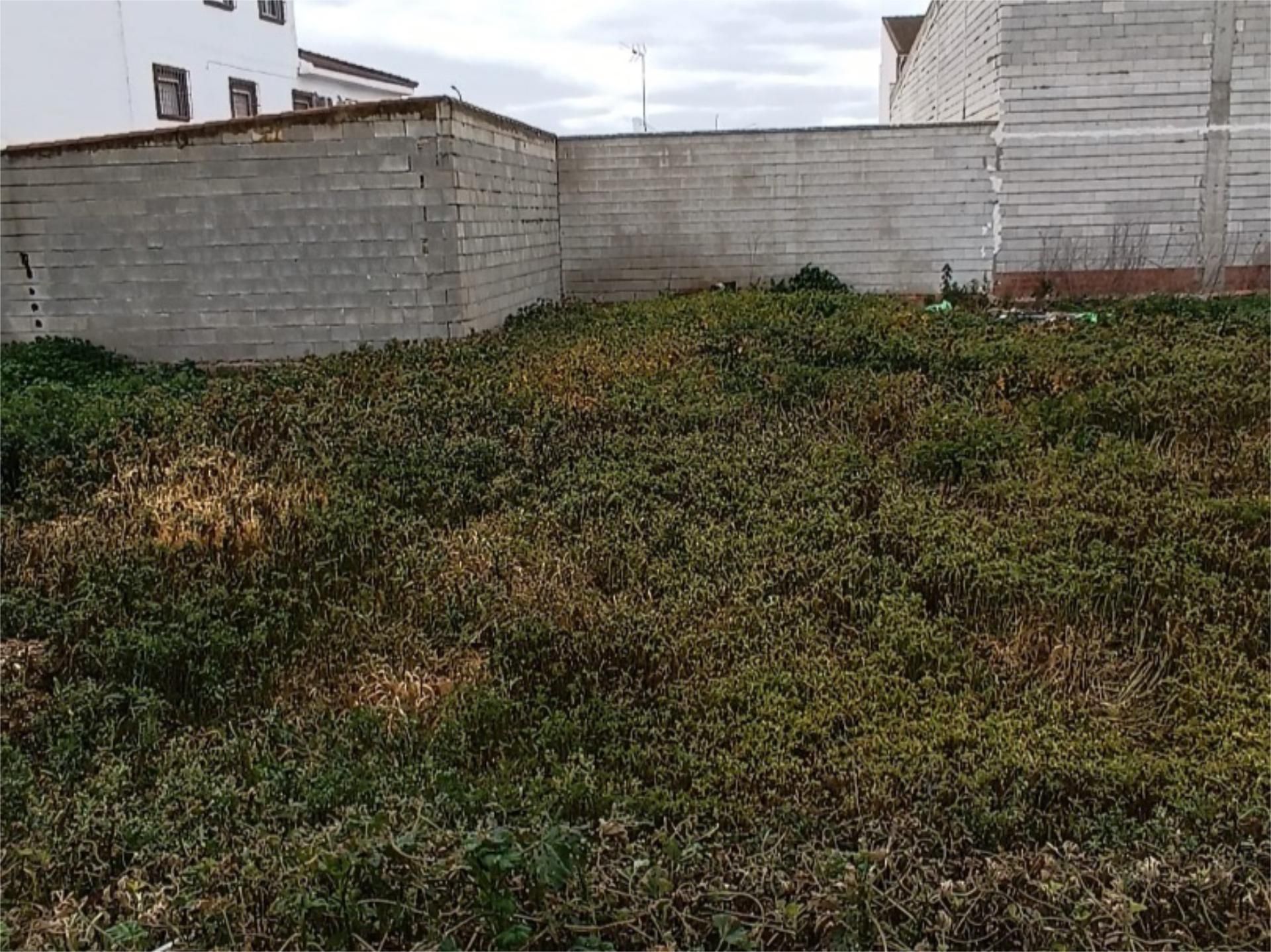 Land for sale in La Roda de Andalucía