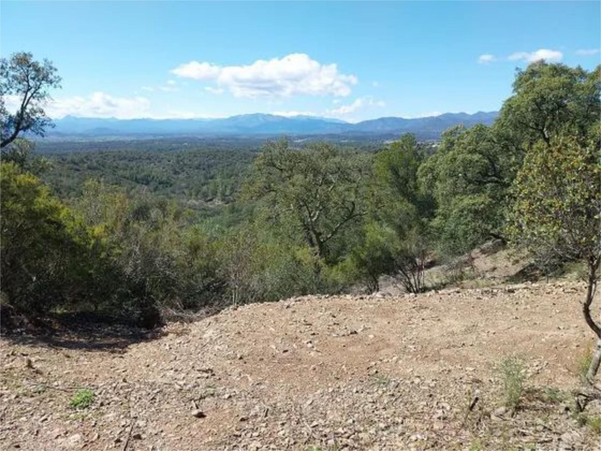 Terreno en venta en Garriguella Terreno en venta en Garriguella