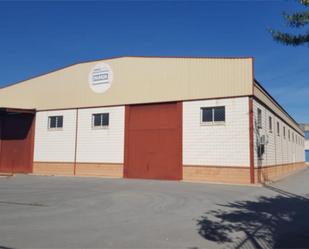 Vista exterior de Nau industrial de lloguer en Cieza amb Aire condicionat