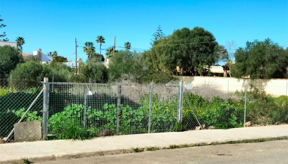 Land for sale in Passatge Cliper, 2, Badia Blava - Badia Gran - Tolleric, Illes Balears - image 1 Photo 1 of Land for sale in Passatge Cliper, 2, Badia Blava - Badia Gran - Tolleric, Illes Balears