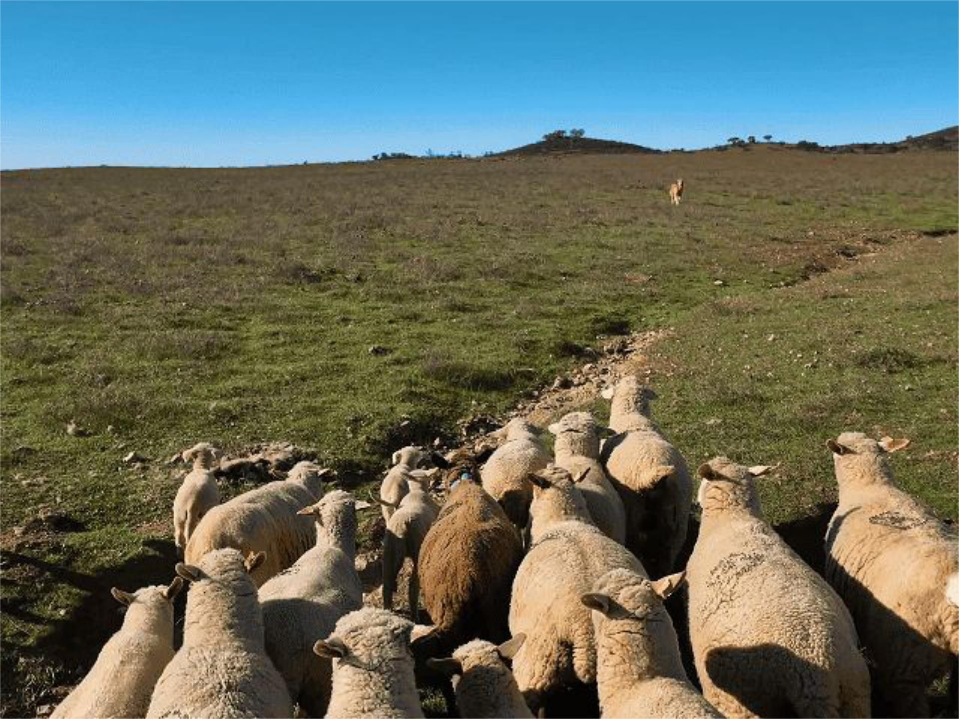 Exterior view of Land for sale in Puebla de Guzmán