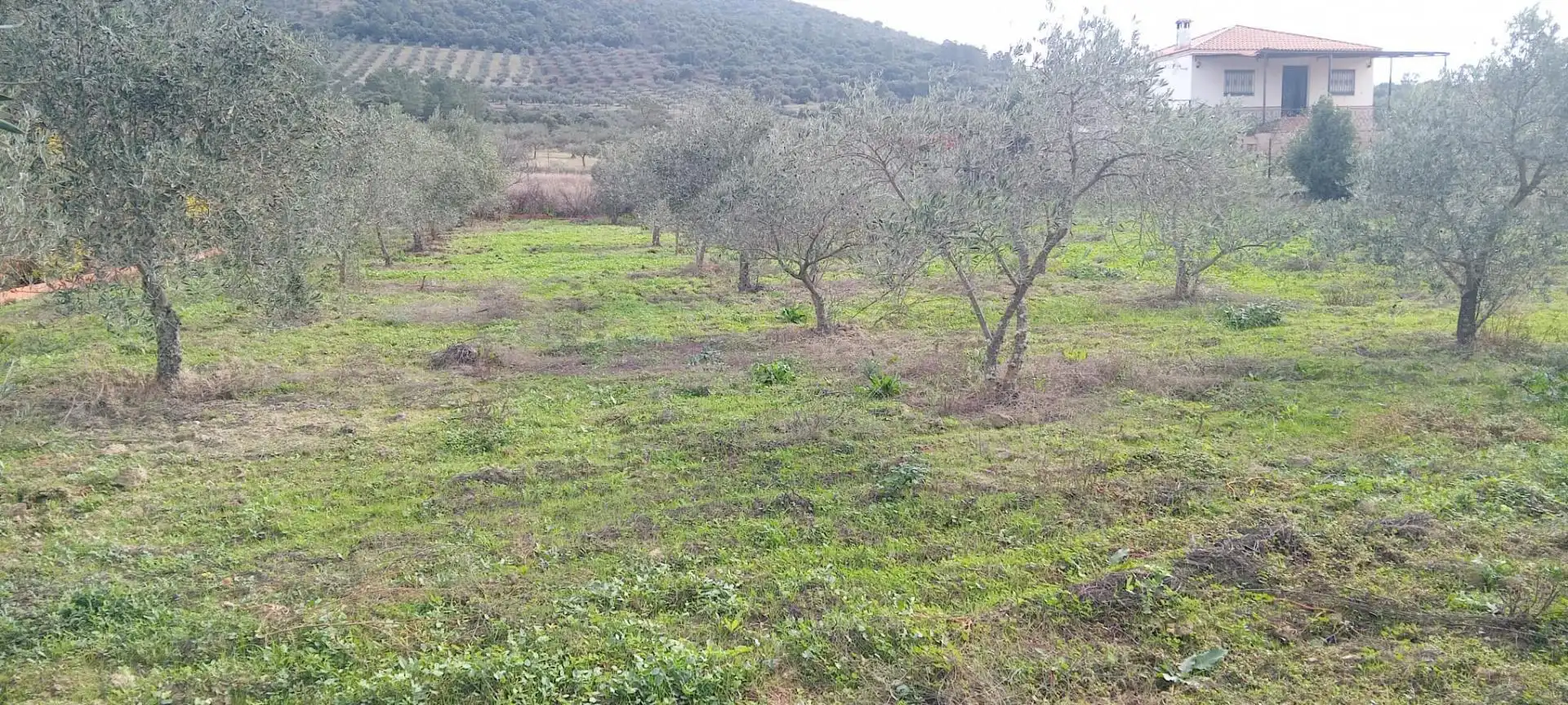 Finca rústica en venta en Lugar Herrerias, 42, Alcuéscar Finca rústica en venta en Alcuéscar con Jardín privado, Terraza y Trastero