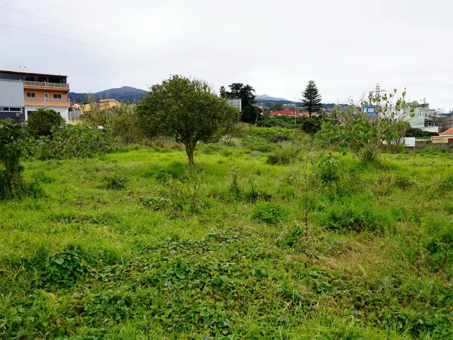 Terreno industrial en venta en Calle la Trilladora, 2, Tacoronte - Los Naranjeros Terreno industrial en venta en Tacoronte