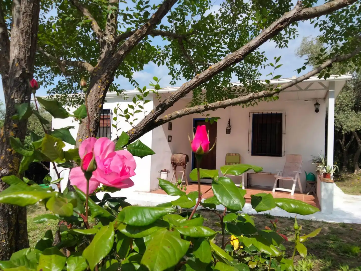 Flat for sale in Avenida Rosal, 21, Las Jaras Garden of Flat for sale in Córdoba