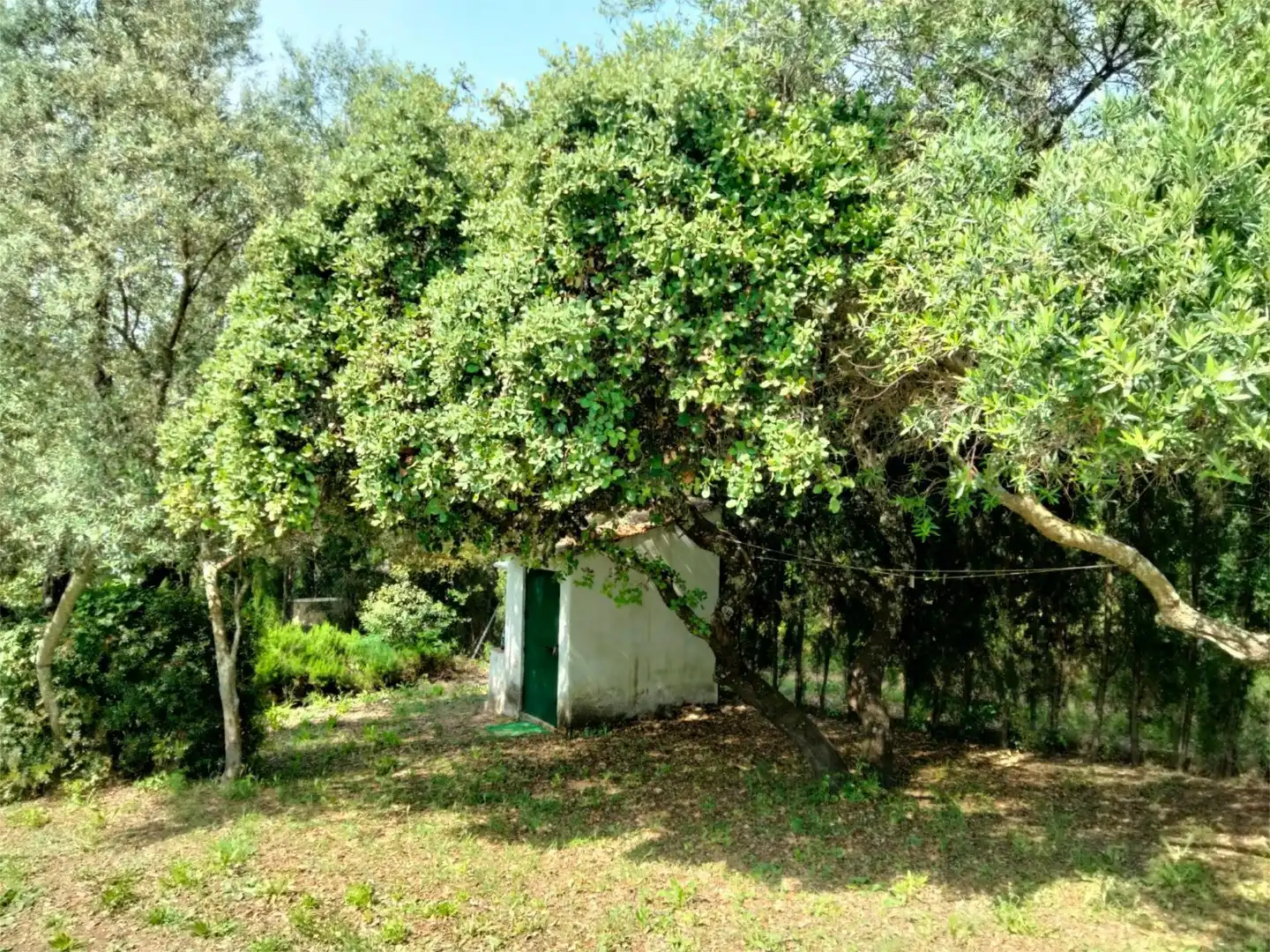 Flat for sale in Avenida Rosal, 21, Las Jaras Garden of Flat for sale in Córdoba