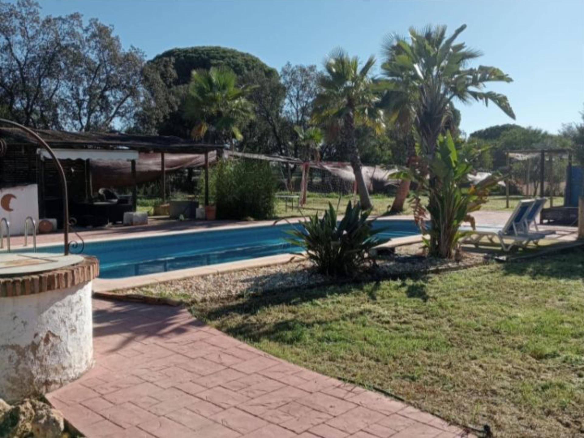 Piscina de Casa o chalet en venta en Beas con Aire acondicionado y Piscina