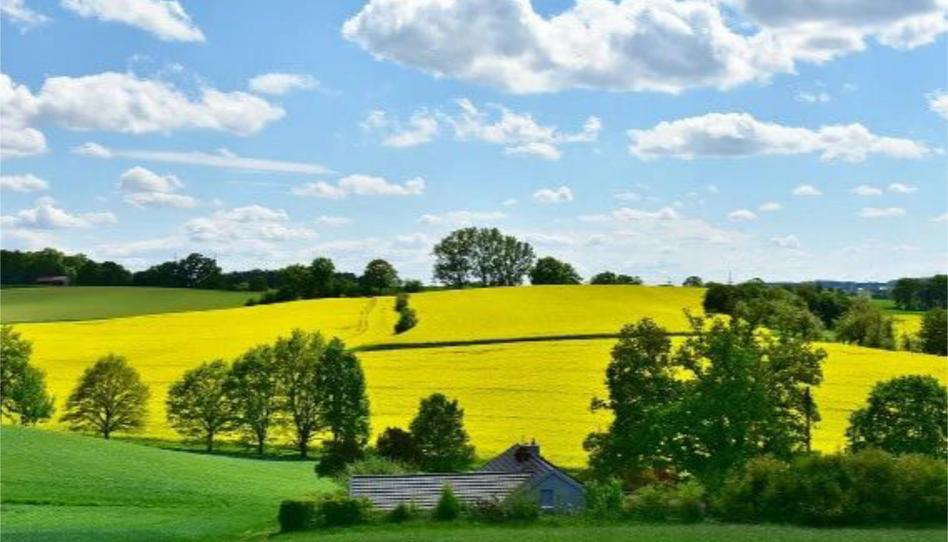 Foto 1 de Finca rústica en venda a Calle Pedro Antonio de Alarcón, 45, Camino de Ronda, Granada