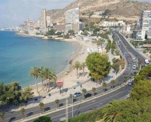 Vista exterior de Estudi de lloguer en Alicante / Alacant amb Calefacció, Jardí privat i Traster