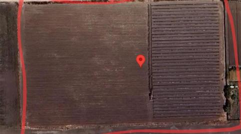 Finca rústica en venda a Calle la Constitución, 9, Centro - La Costilla, Cádiz - imatge 5 Foto 5 de Finca rústica en venda a Calle la Constitución, 9, Centro - La Costilla, Cádiz