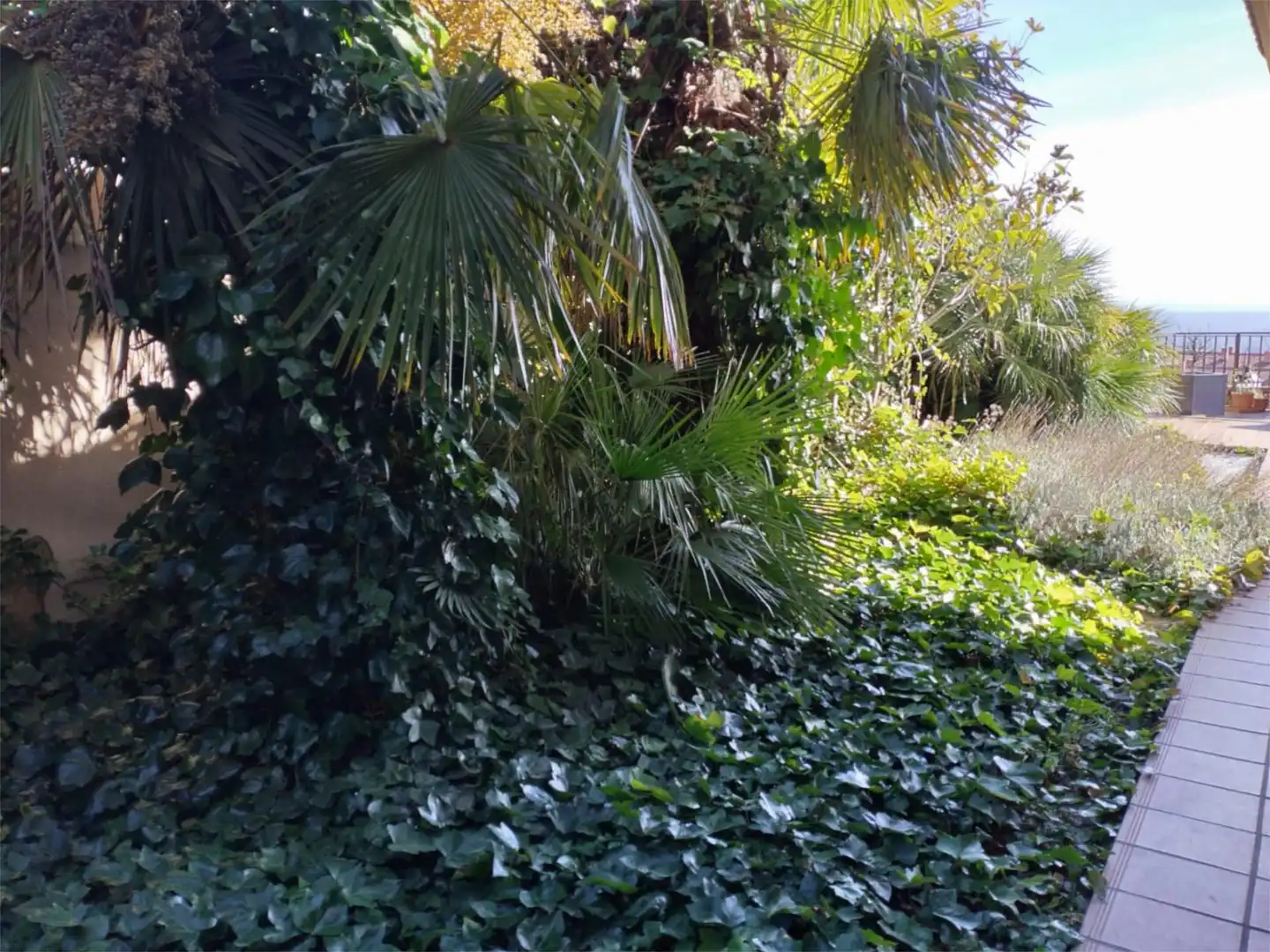 Room in Calle Francisco de Mora, 61, Zaburdón - Monte Escorial Garden of Flat for share in San Lorenzo de El Escorial with Private garden, Parquet flooring and Terrace