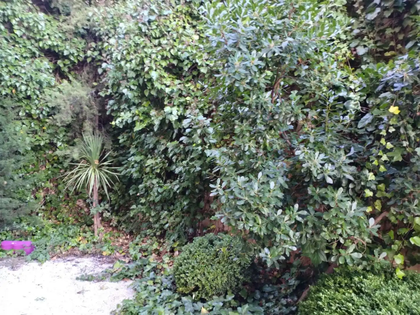 Room in Calle Francisco de Mora, 61, Zaburdón - Monte Escorial Garden of Flat for share in San Lorenzo de El Escorial with Private garden, Parquet flooring and Terrace