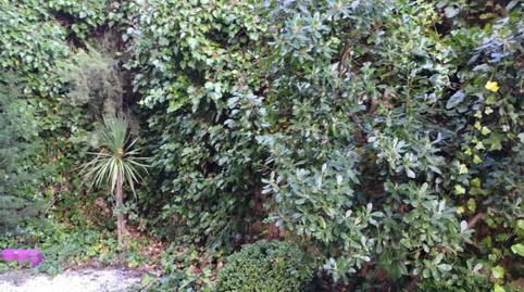 Photo 4 of Flat to share in Calle Francisco de Mora, 61, Zaburdón - Monte Escorial, Madrid