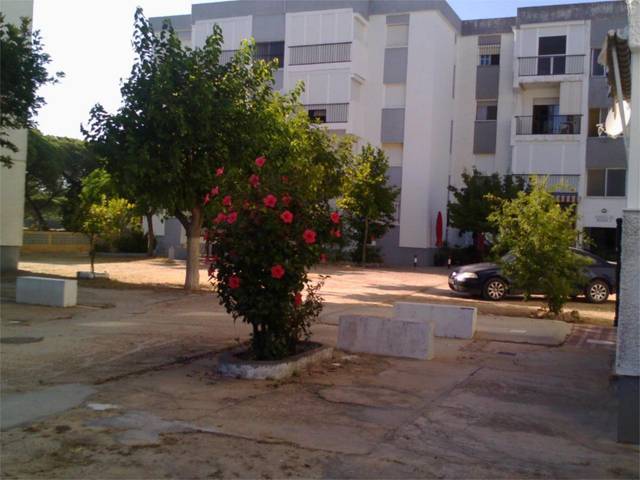 Piso en Alquiler en Calle Mástil, 2 en Mazagón