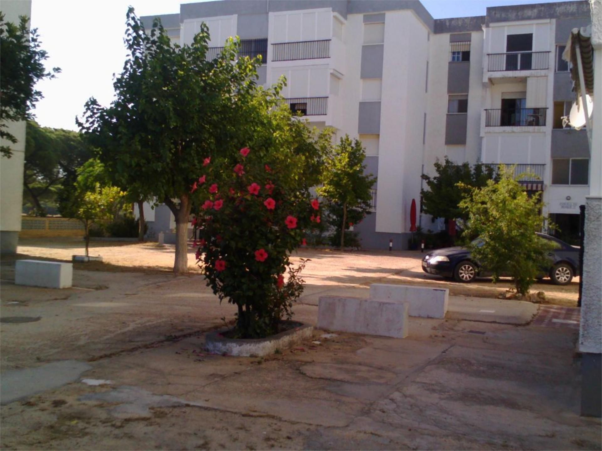 Wohnung miete in Calle Mástil, 2, Mazagón