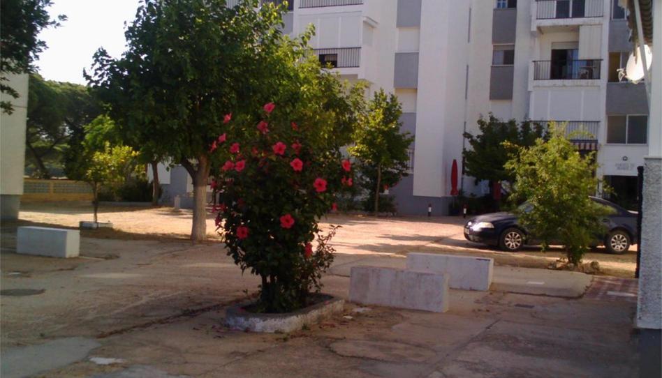 Photo 1 of Flat to rent in Calle Mástil, 2, Mazagón, Huelva