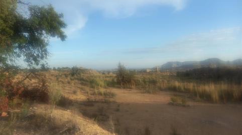 Foto 2 de Finca rústica en venda a Calle Foso, 19, El Verdegàs, Alicante