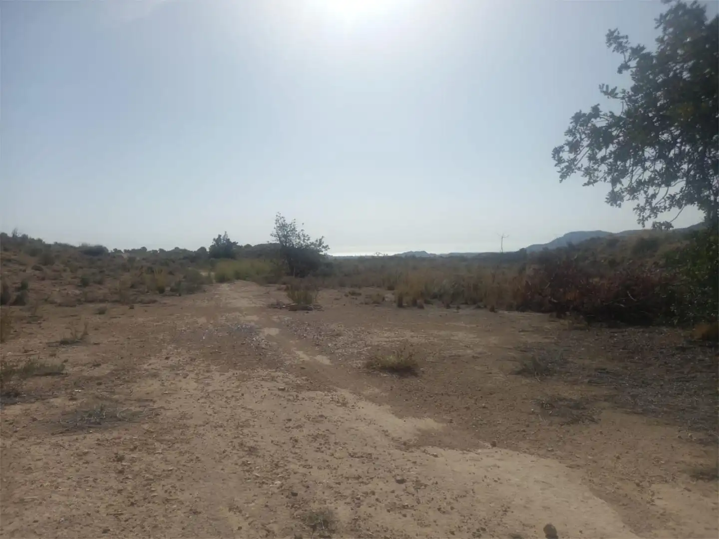 Finca rústica en venta en Calle Foso, 19, El Verdegàs Finca rústica en venta en Alicante / Alacant
