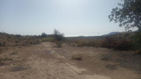Foto 3 de Finca rústica en venda a Calle Foso, 19, El Verdegàs, Alicante
