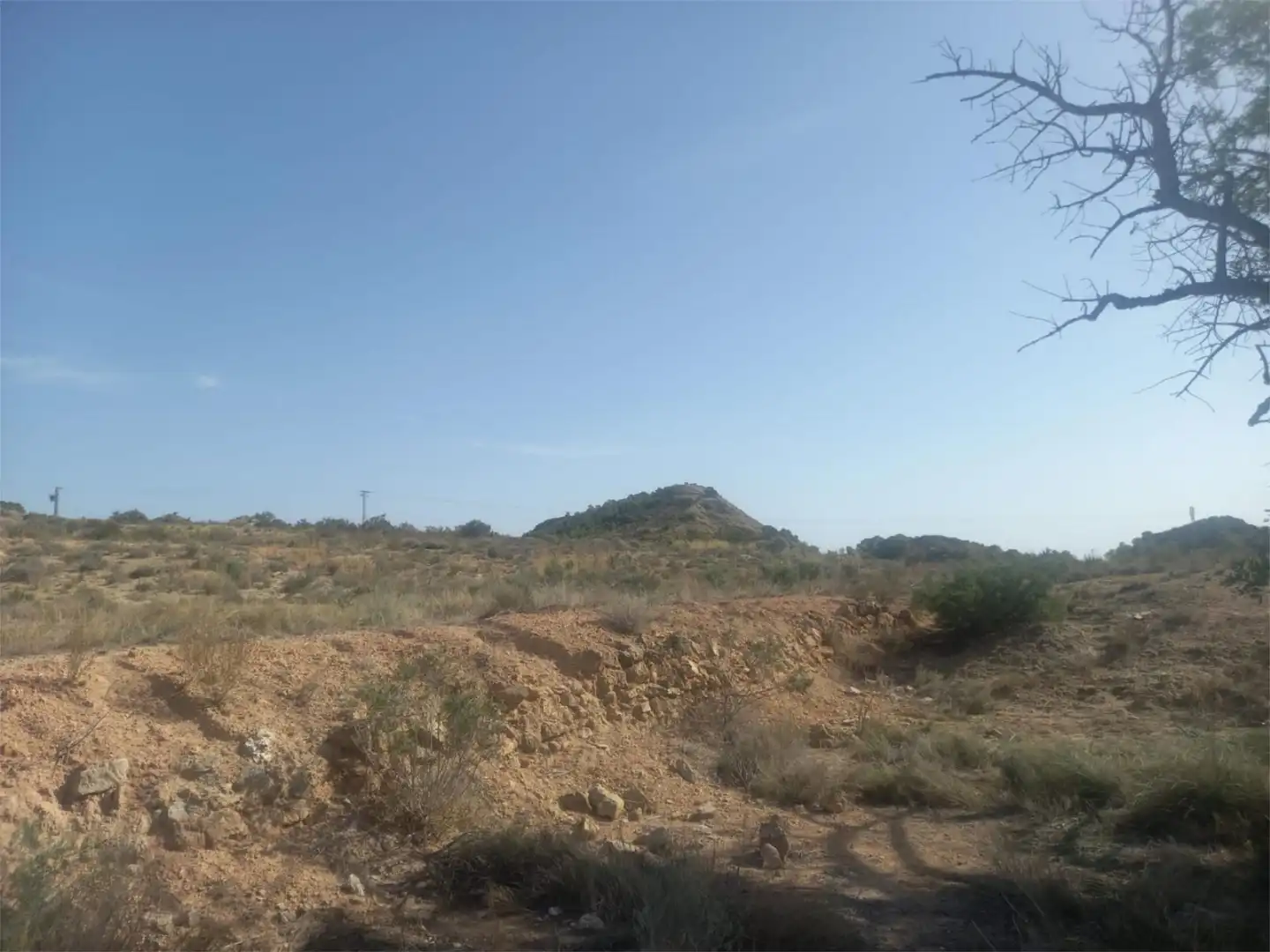 Finca rústica en venta en Calle Foso, 19, El Verdegàs Finca rústica en venta en Alicante / Alacant