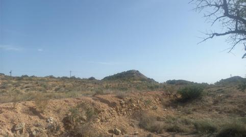 Foto 4 de Finca rústica en venda a Calle Foso, 19, El Verdegàs, Alicante