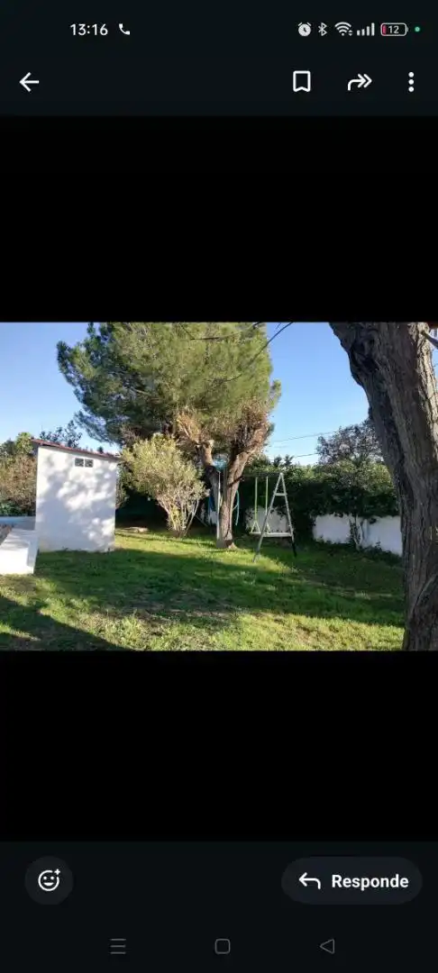 Jardín de Casa o chalet en venta en Carmona con Aire acondicionado, Calefacción y Jardín privado