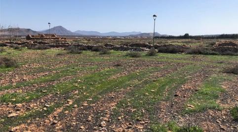 Land for sale in Street Roque Nublo, 100, Valles de Ortega, Las Palmas - image 5 Photo 5 of Land for sale in Street Roque Nublo, 100, Valles de Ortega, Las Palmas