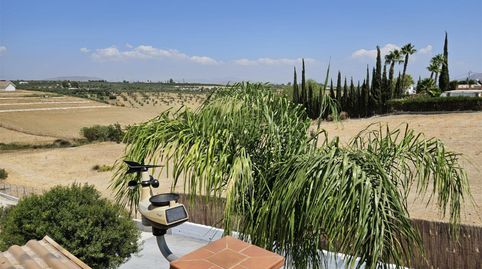 Foto 4 de Casa o xalet en venda a Diseminado Diseminados, 138, Coín, Málaga
