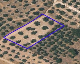 Non-constructible Land for sale in Pozoblanco