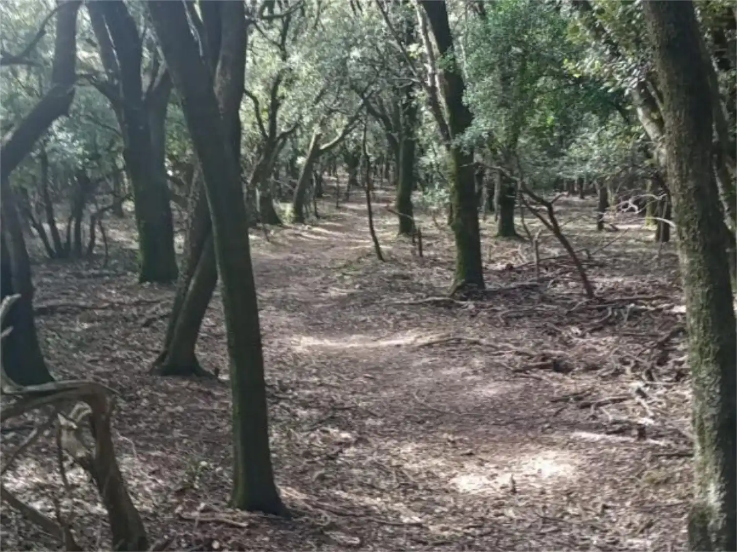 Terreno en venta en HU-324, 7, Nueno Terreno en venta en Nueno