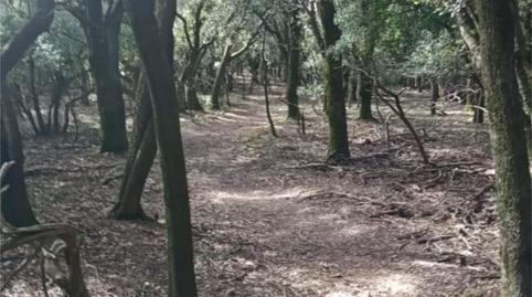 Grundstücke zum Verkauf in Hu-324, 7, Nueno, Huesca - Bild 4 Foto 4 von Grundstücke zum Verkauf in Hu-324, 7, Nueno, Huesca