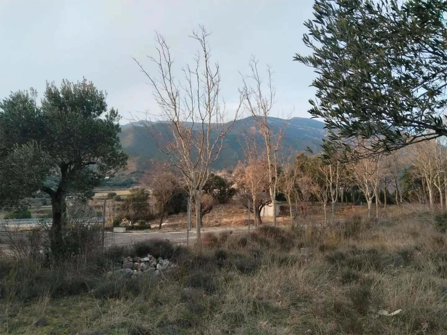 Terreno en venta en HU-324, 7, Nueno Terreno en venta en Nueno