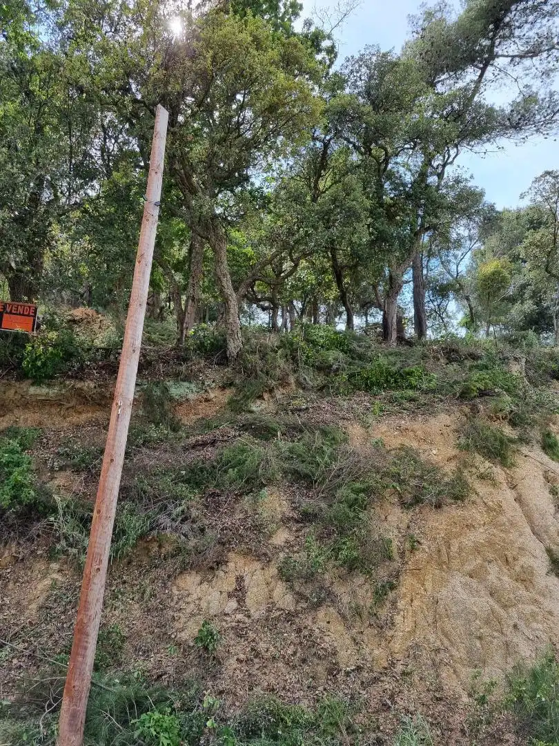Constructible Land for sale in Palafolls