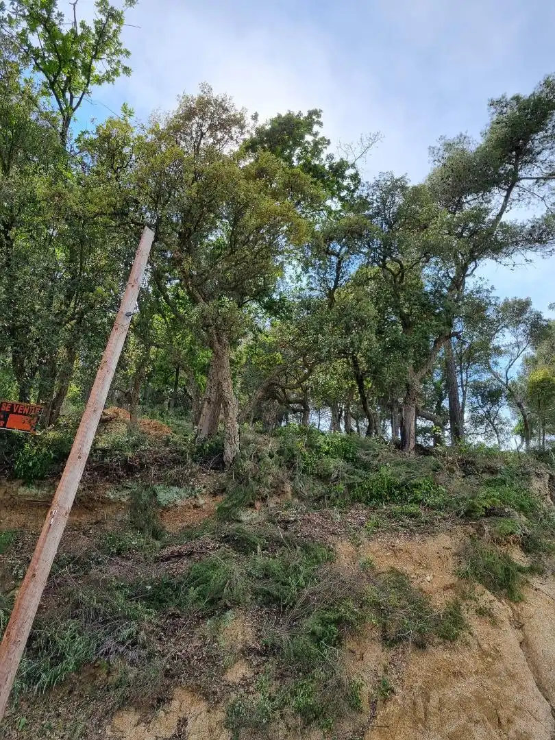 Constructible Land for sale in Palafolls