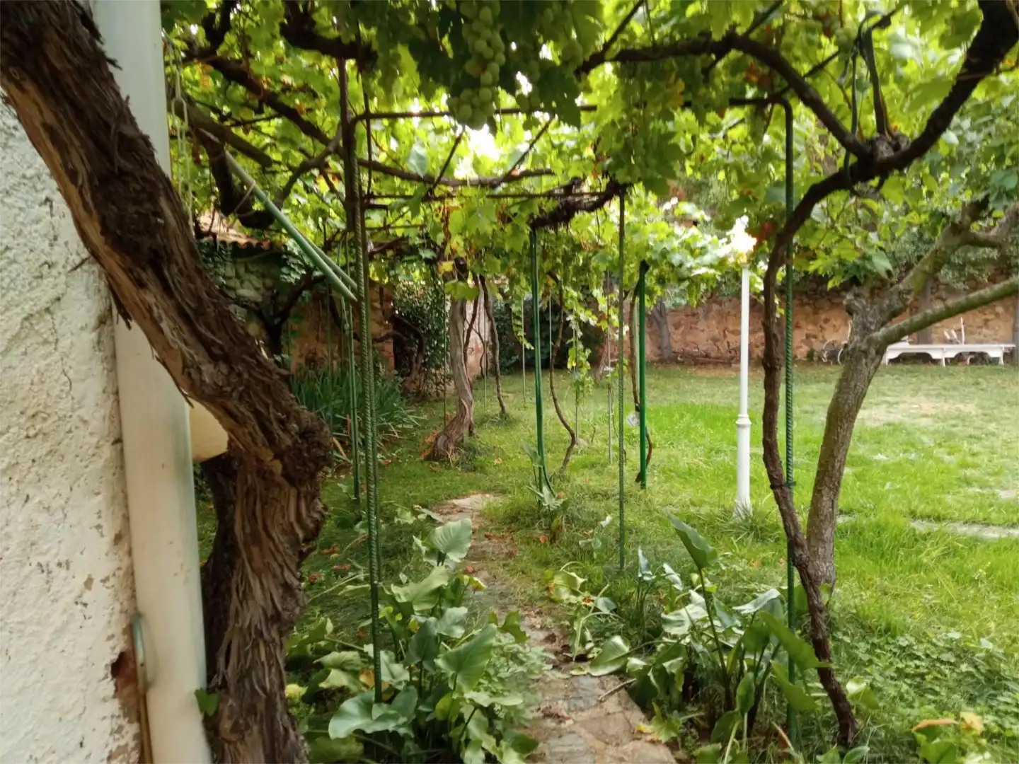 Jardí de Casa o xalet en venda en Baños de Río Tobía amb Balcó