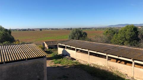 Flat for sale in Diseminado 8727- Sa Casa Blanca, 1, Sa Casa Blanca, Illes Balears - image 3 Photo 3 of Flat for sale in Diseminado 8727- Sa Casa Blanca, 1, Sa Casa Blanca, Illes Balears