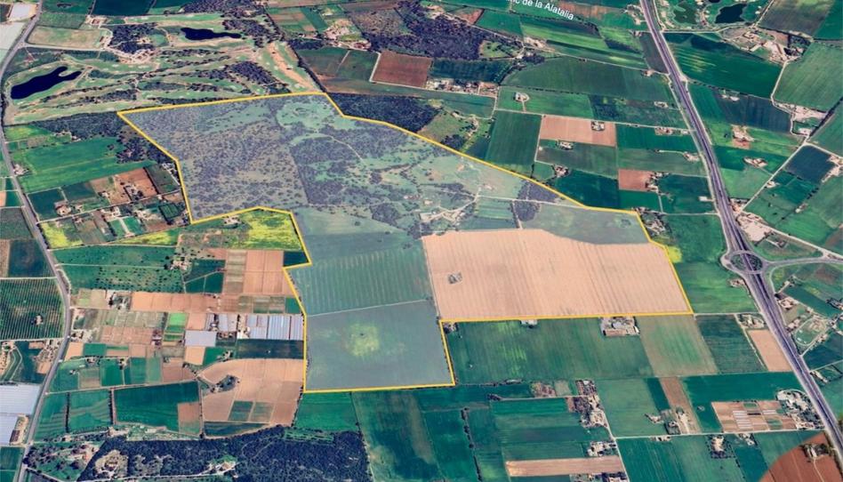 Flat for sale in Diseminado 8727- Sa Casa Blanca, 1, Sa Casa Blanca, Illes Balears - image 1 Photo 1 of Flat for sale in Diseminado 8727- Sa Casa Blanca, 1, Sa Casa Blanca, Illes Balears