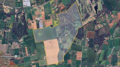 Flat for sale in Diseminado 8727- Sa Casa Blanca, 1, Sa Casa Blanca, Illes Balears - image 5 Photo 5 of Flat for sale in Diseminado 8727- Sa Casa Blanca, 1, Sa Casa Blanca, Illes Balears