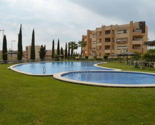 Swimming pool of Flat to rent in  Murcia Capital  with Air Conditioner, Heating and Private garden