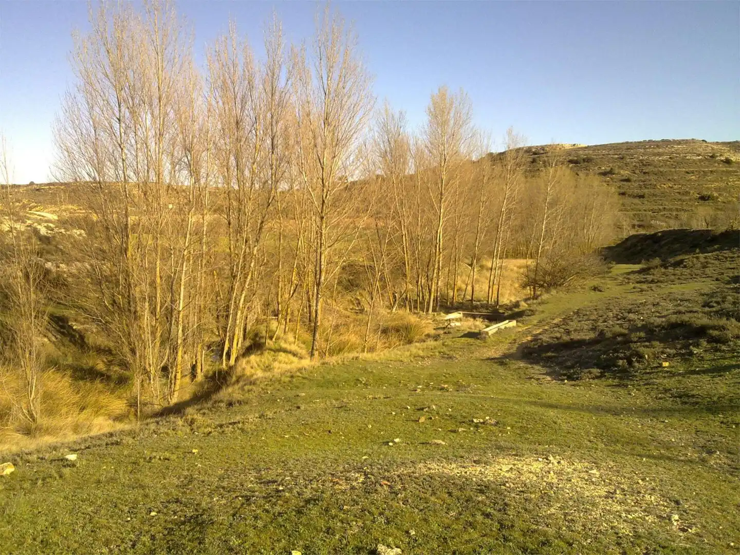 Finca rústica en venta en Higueruela