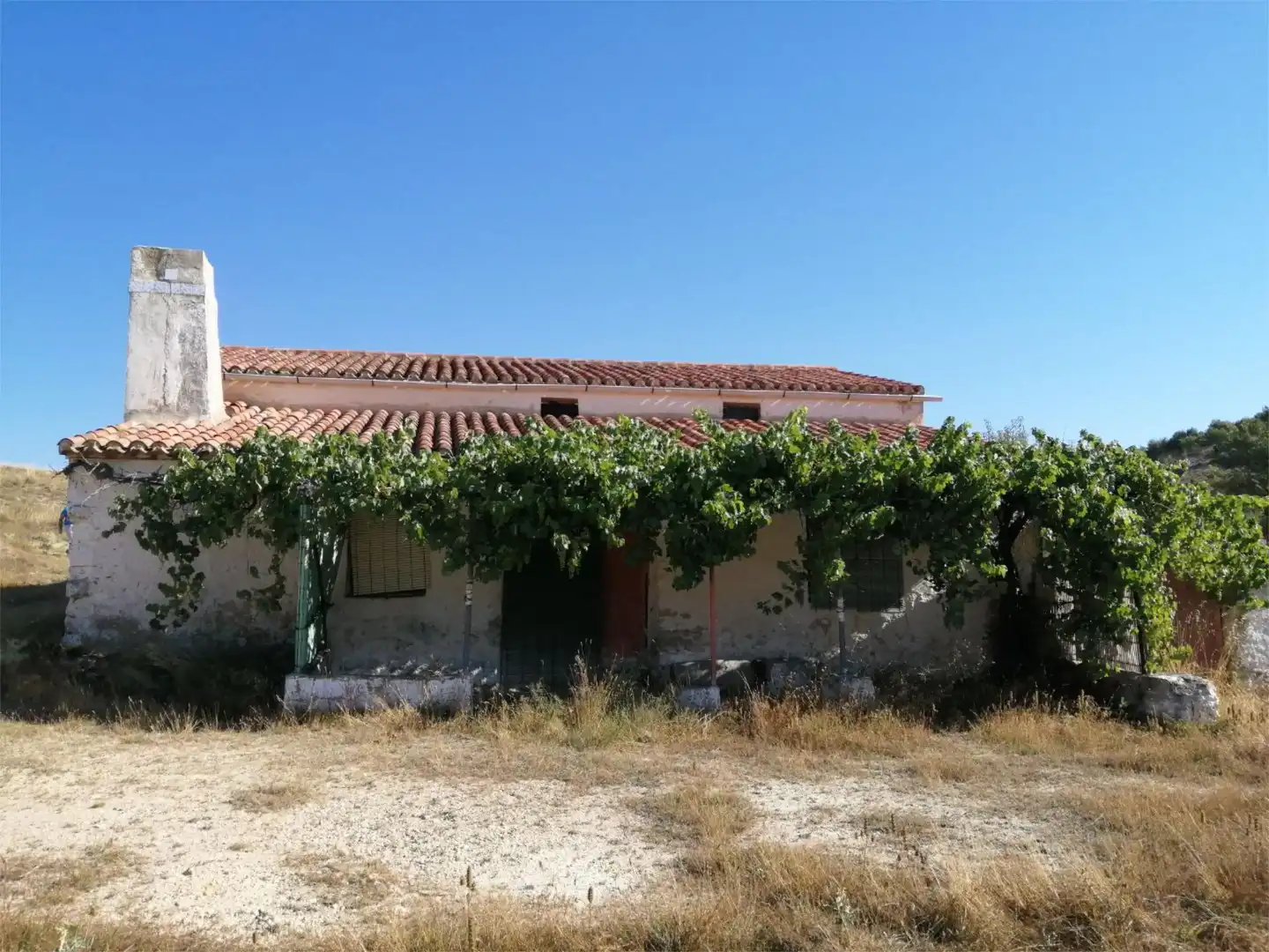 Vista exterior de Finca rústica en venta en Higueruela