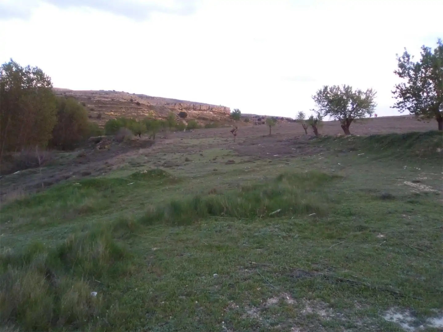 Finca rústica en venta en Higueruela